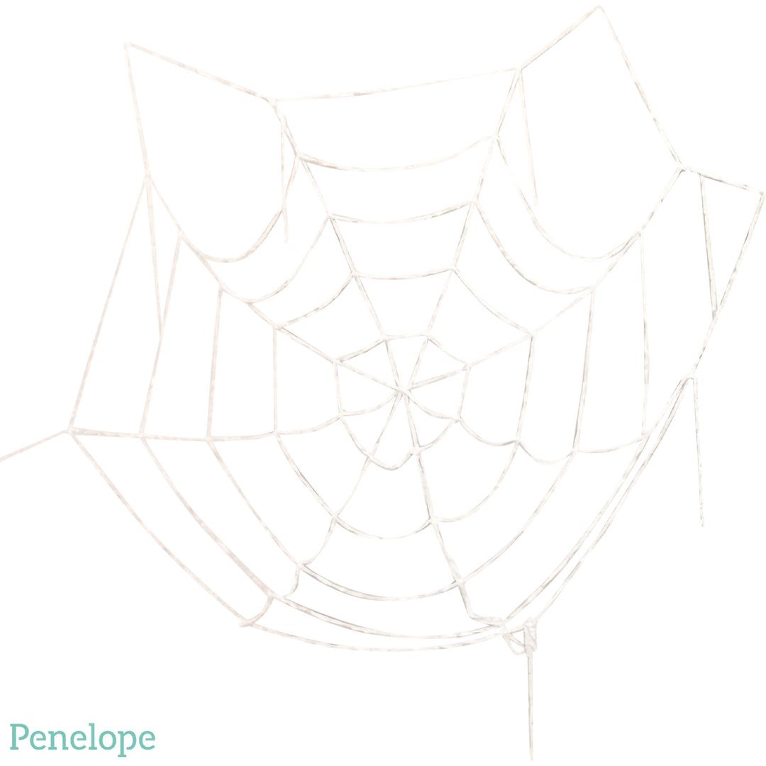 רשת קורי עכביש גדולה