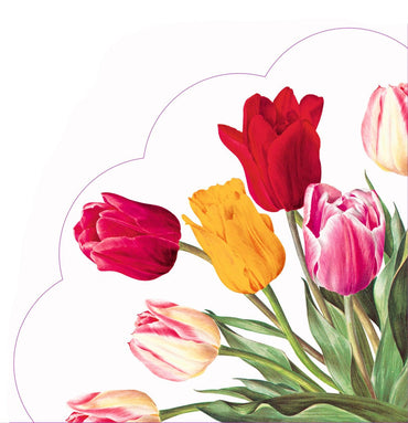 מפיות פרח הצבעוני - פנלופה