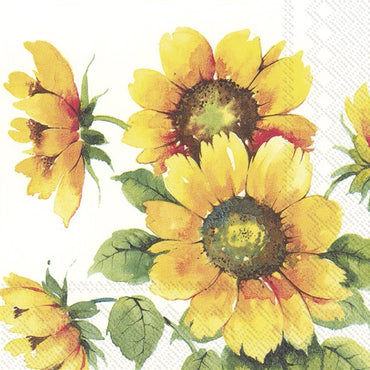 מפיות פרחי חמניה - 20 יחידות