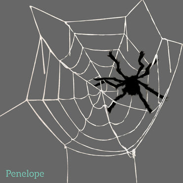 רשת קורי עכביש גדולה