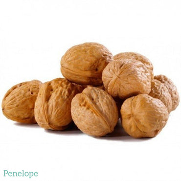 אגוזי מלך טבעיים - 20 יחידות - penelope