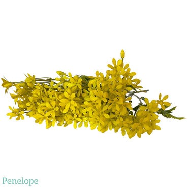 בוקה פרחים קטנים צהוב - פנלופה