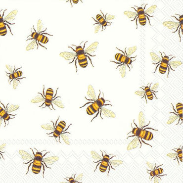 מפיות דבורים - פנלופה