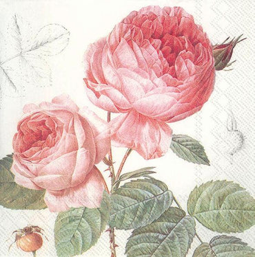 מפיות מעוצבות ורדים ורודים - פנלופה
