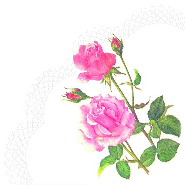 מפיות/תחתיות פרח ורד ורוד- 12 יחידות - penelope